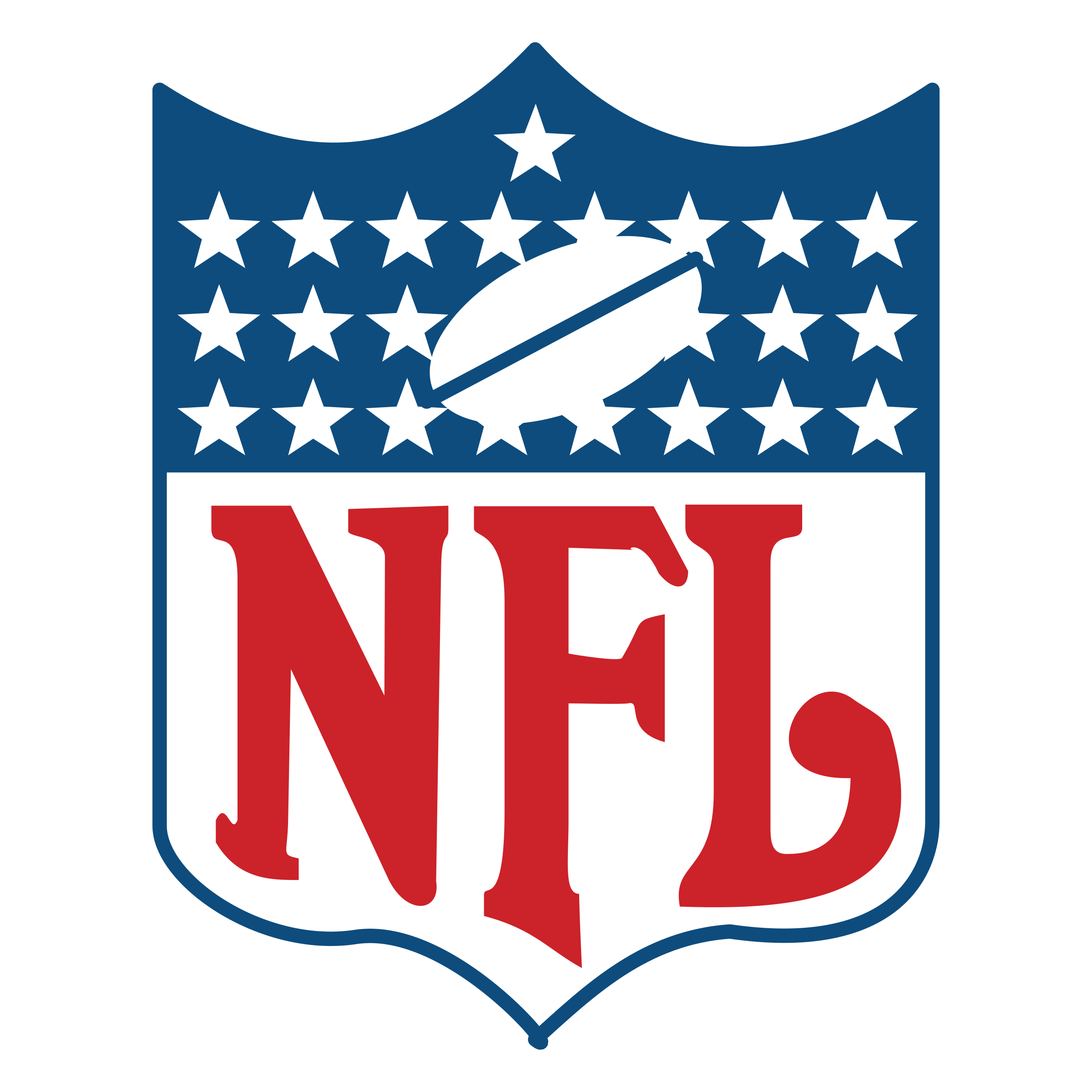 NFL Logo good